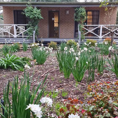 Barossa Country Cottages Lyndoch Exteriér fotografie